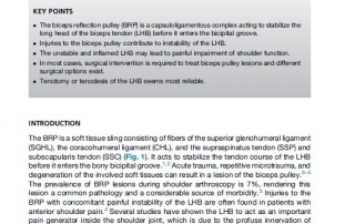 Injuries to the Biceps Pulley