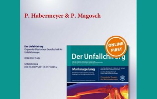 Unfallchirurg Prof. Habermeyer
